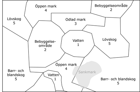 Bilden visar exempel på ett heltäckande markskikt med  gränser inklusive en fristående sankmark.